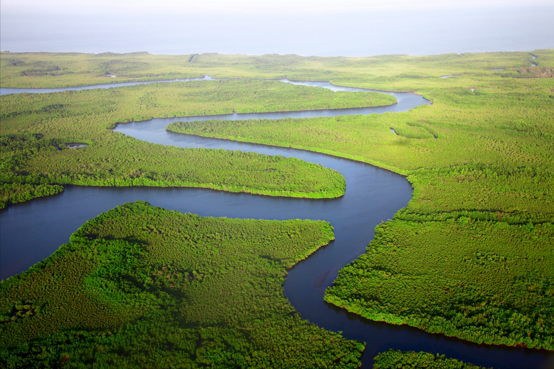 Landscape virgin forests around a river, The Gambia