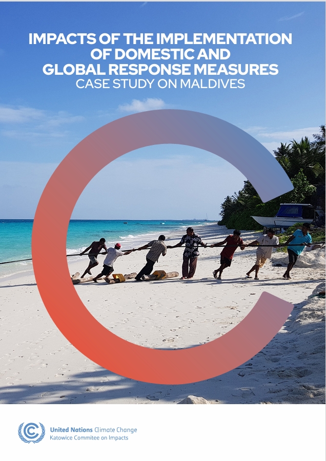Cover of KCI study on Maldives