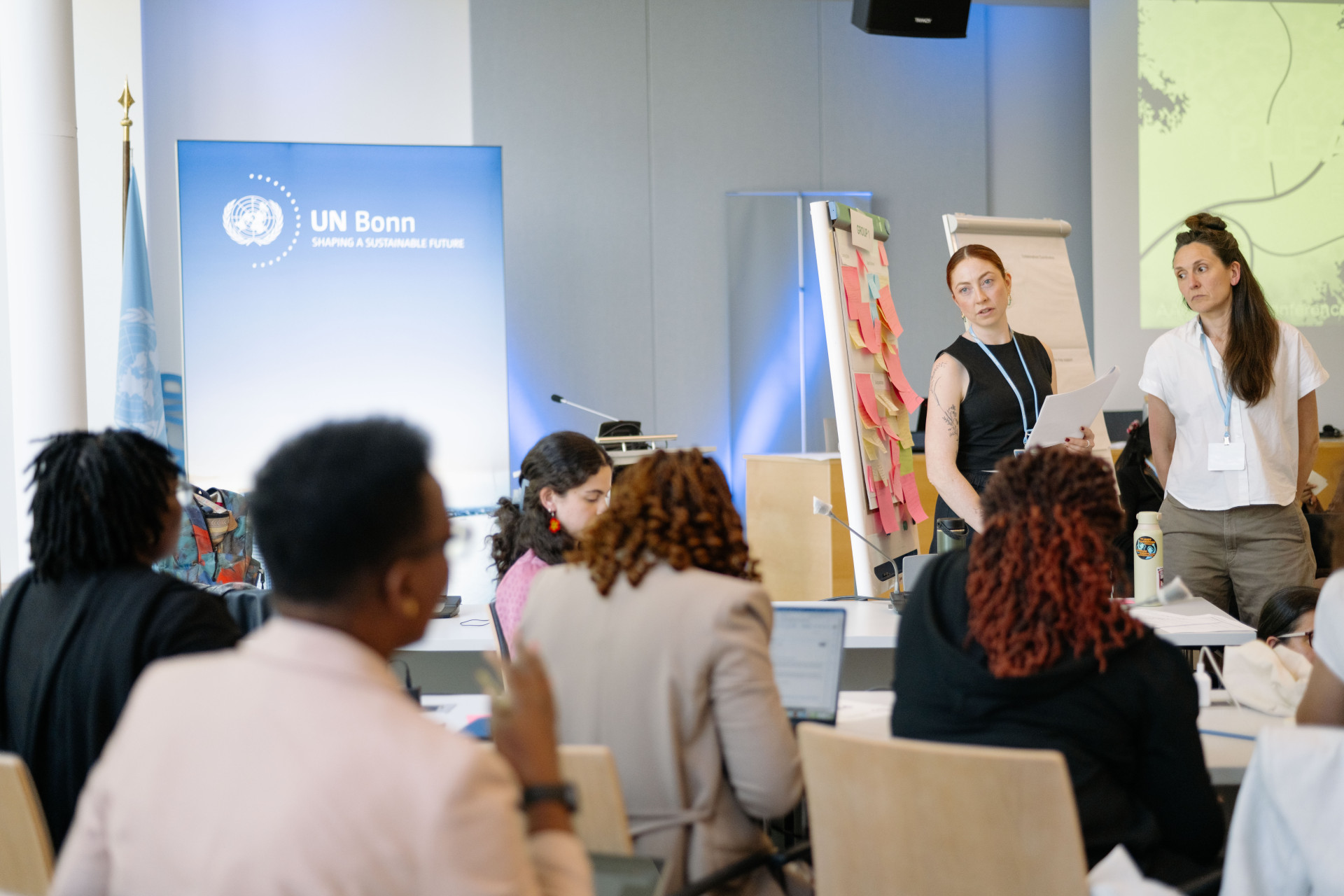 Expert dialogue on relevant issues in gender and age-disaggregated data and gender analysis photo 3