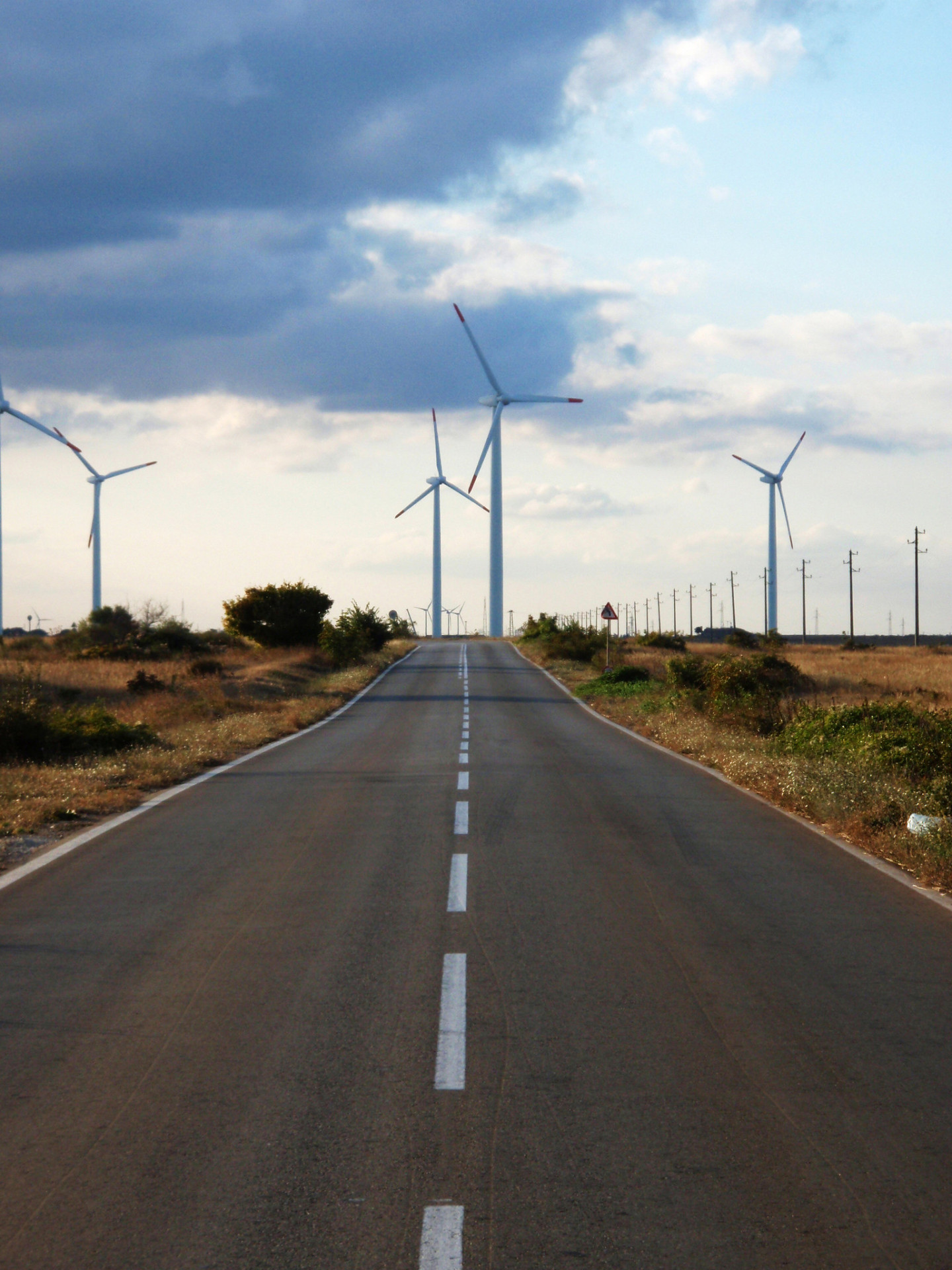 Wind park in Bulgaria