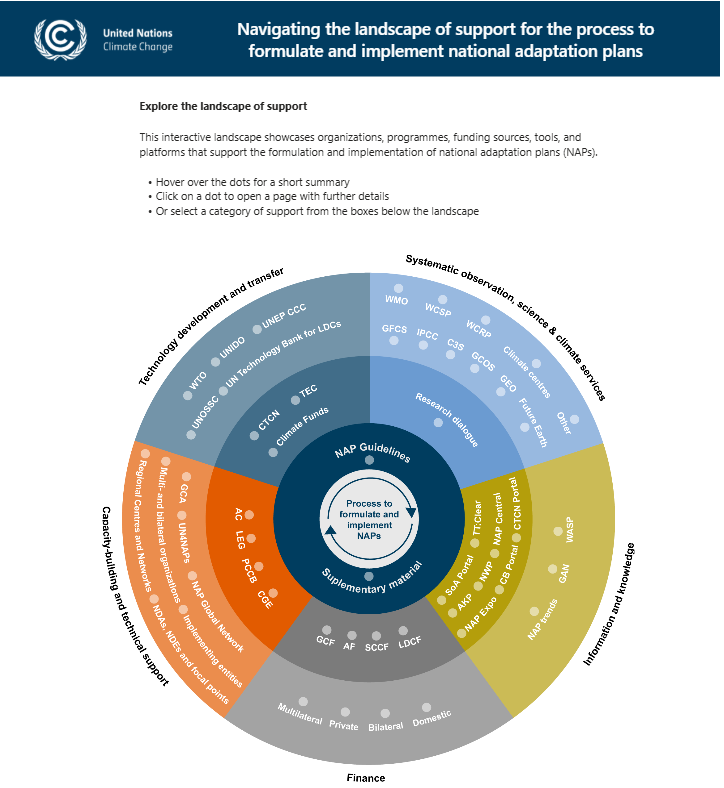 Navigating the landscape of support for NAPs 
