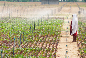 Irrigation in Sri Lanka