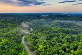River in a forest.