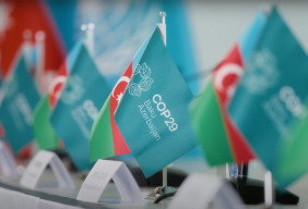 COP 29 host country flags soft focus
