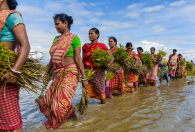 Women are seen queueing up to plant mangrove saplings along the riverbanks of the Matla river in Sundarbans, India.