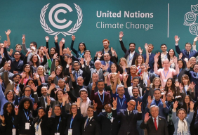 UN Climate Change staff photo COP 29