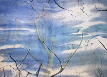 Art for climate