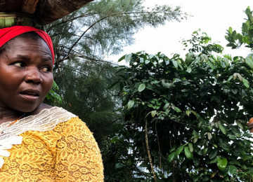 Comoro women farmers battling climate change