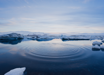 ice