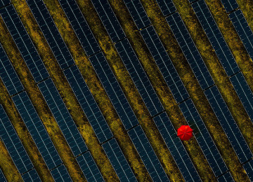 Person with umbrella walking through field of solar panels
