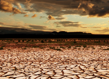 Drought scene