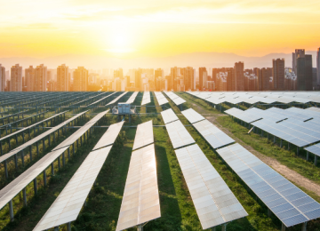Rows of solar panels