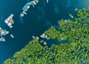 An aerial view of the Amazon River