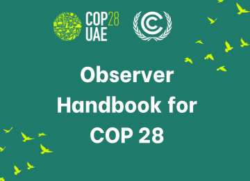 Observer Handbook for COP28