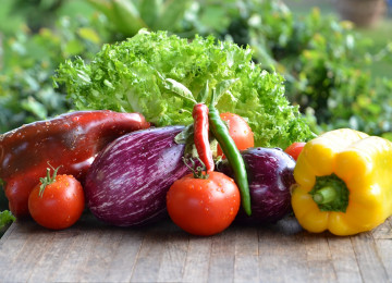 Webinar: Food Security in the NDCs 3.0 of the MENA region