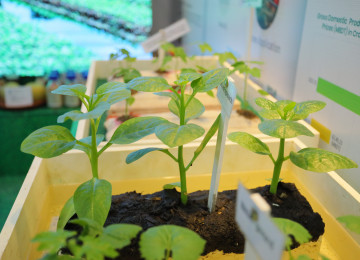 Sectoral - agric