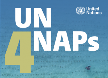 UN4NAPs