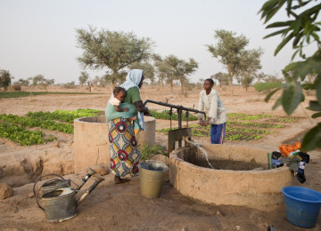 Niger - Family harvesting water