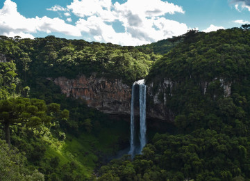 The Body mandated by the Paris Agreement to set up a new UN carbon market has agreed mandatory environmental and human rights safeguards early into a five-day meeting in Baku. 