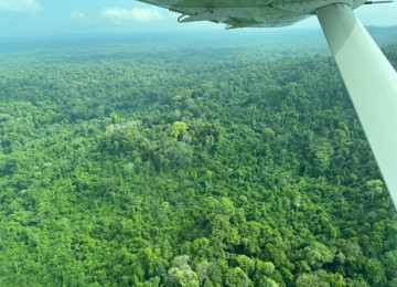 Aerial View of Guyana's Rainforest 