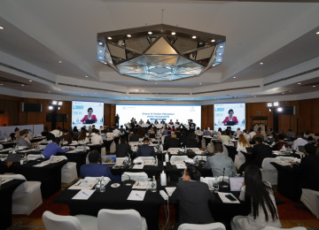 Fourth Global Dialogue Mitigation Work Programme