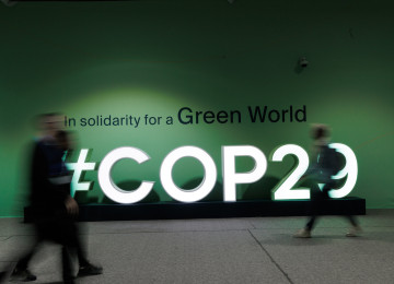 RCC East and Southern Africa hosts a webinar 'COP 29 Outcomes Webinar Series Part 1: A focus on Article 6'