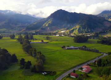 A Mountain near Green Pasture