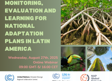 Webinar monitoring, evaluation and learning for NAPs in LatAm flyer