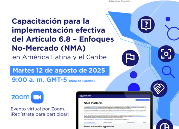 Flyer webinar National Capacity Building Workshop for Carbon Markets and Article 6 implementation.