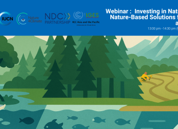 Flyer webinar on NBS for adaptation and mitigation 