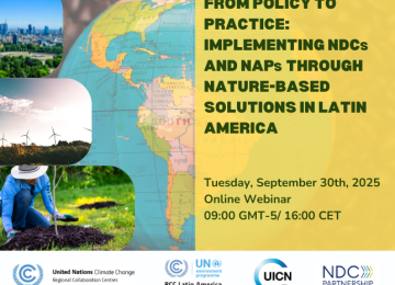  Webinar Implementing NDCs and NAPs 