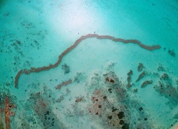 Overhead view of the ocean and clear sea water, an underwater artificial reef installed on the sea bed to protect dead corals with artificial formations to provide habitat for fish and reduce sand erosion.