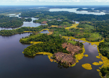 Aerial View of Lush Greenery and Water Bodies in Cameroon