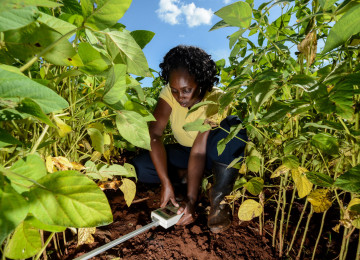 Climate-smart soils: testing soil health in Western Kenya