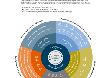 Navigating the landscape of support for NAPs 