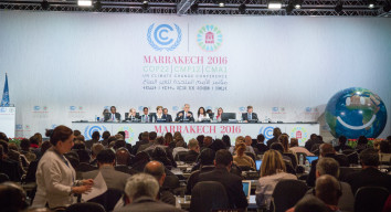 COP 22