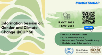 Information session gender at COP 30