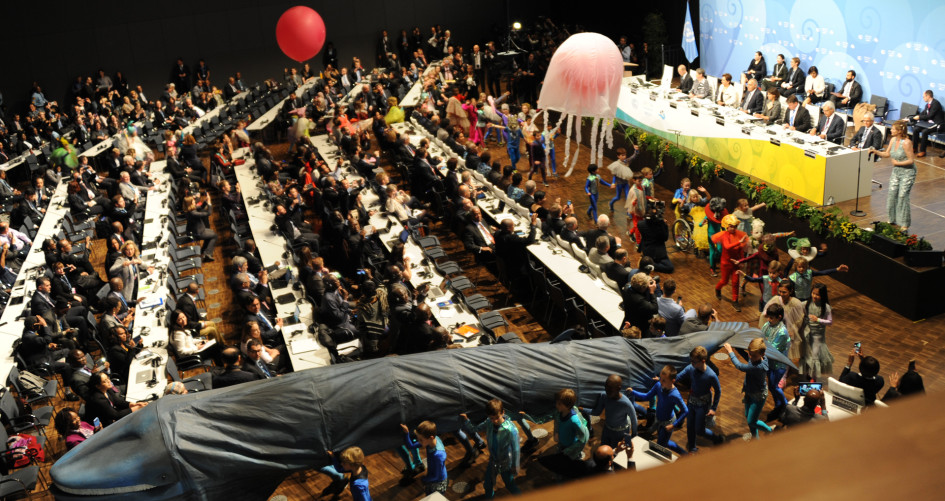 Children from Bonn International School parading through plenary in COP23 opening ceremony