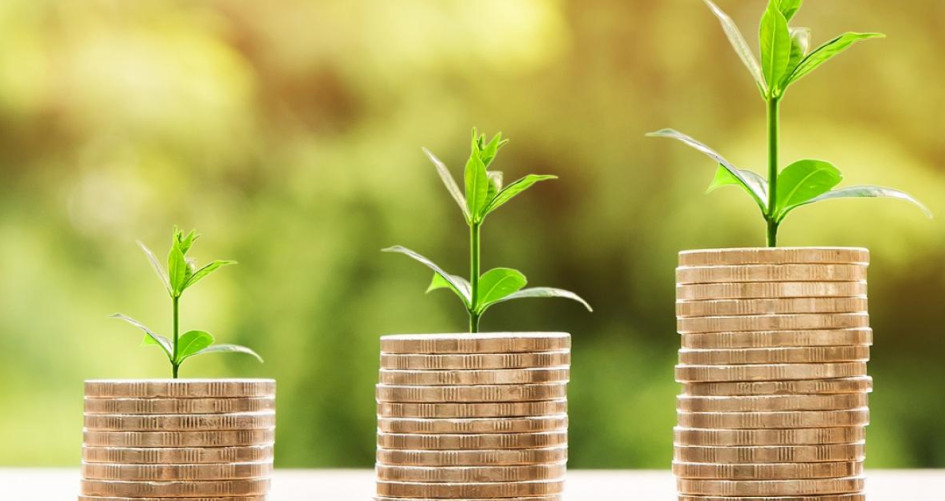 China has an important role in shaping environmental policy