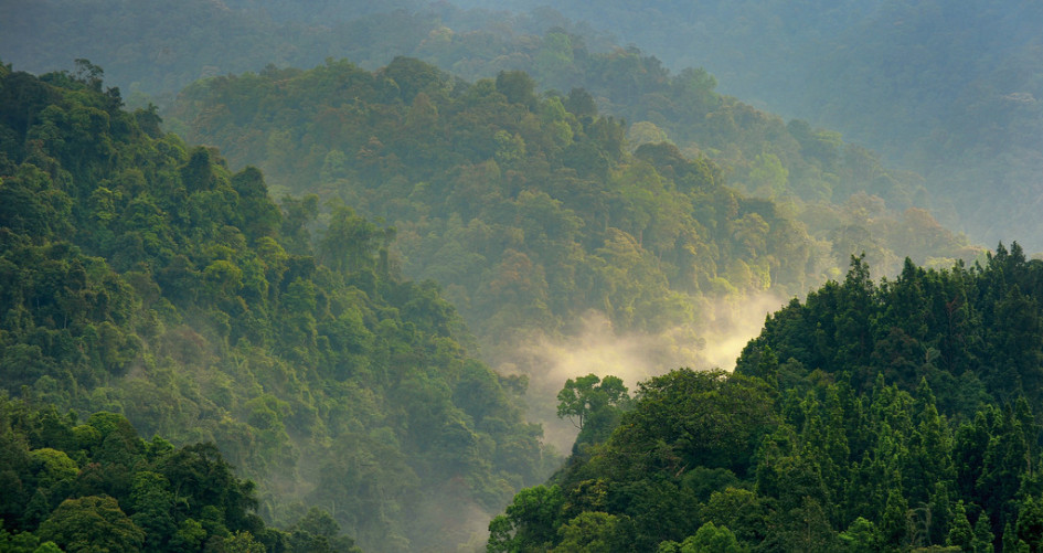 USD 10 Billion for Sustainable Projects by 2025