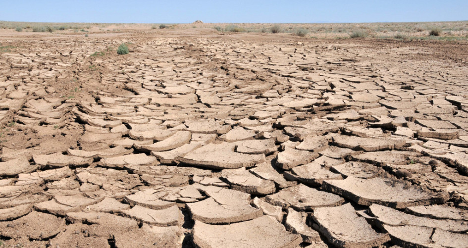 Increased desertification would lead to more droughts and wildfires