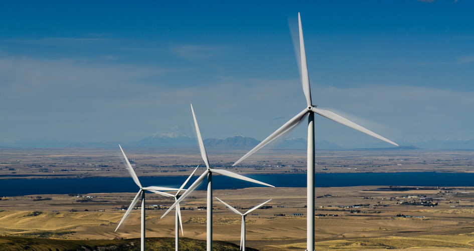 25 companies achieve their 100% renewable energy target 