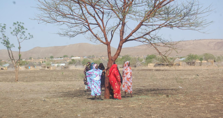 Building Resilient Livelihoods | Sudan