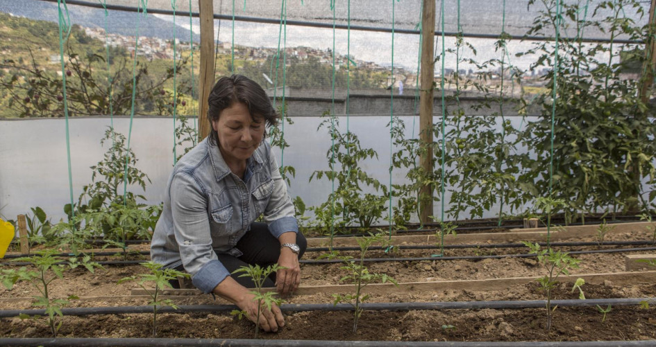 Sustainable Agriculture with Gender Inclusion and Participation in Quito
