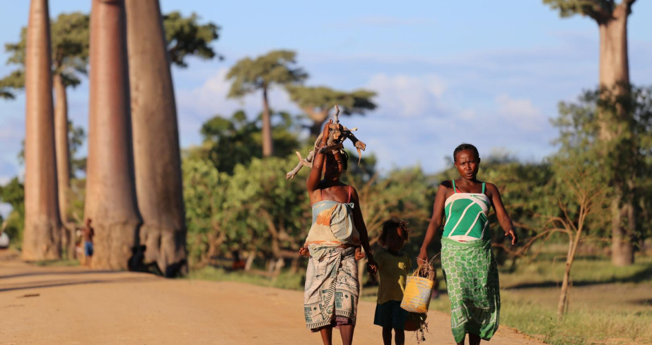 Buffelsdraii Landfill Site Community Reforestation