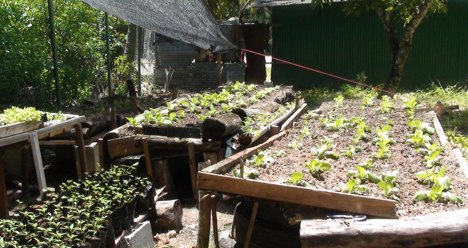 Spurring Climate Change Adaptation in Seychelles Schools through Rainwater Harvesting