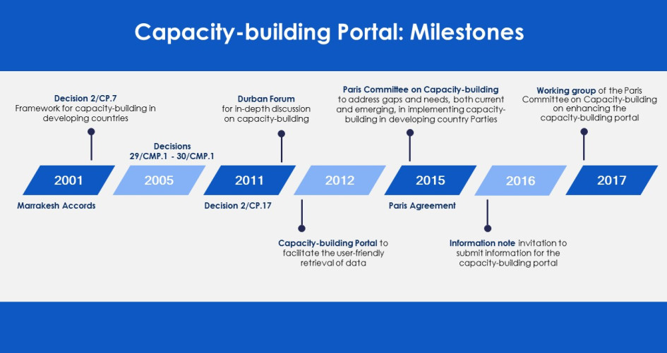 Capacity-building Portal: Milestones