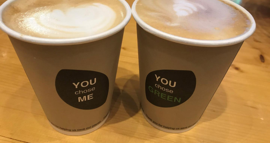 Coffee cups at COP24