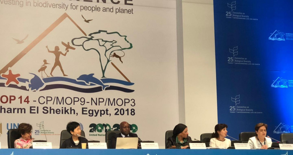 Biodiversity Conference