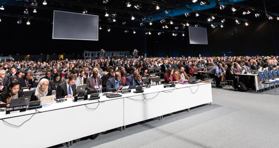 COP 24 plenary view of delegations